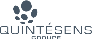 logo_quintesens